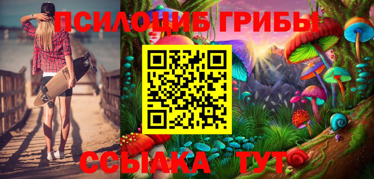 Псилоцибиновые грибы GOLDEN TEACHER Удомля