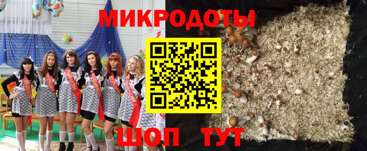 Галлюциногенные грибы Psilocybine cubensis  Вход с VPN  Удомля 